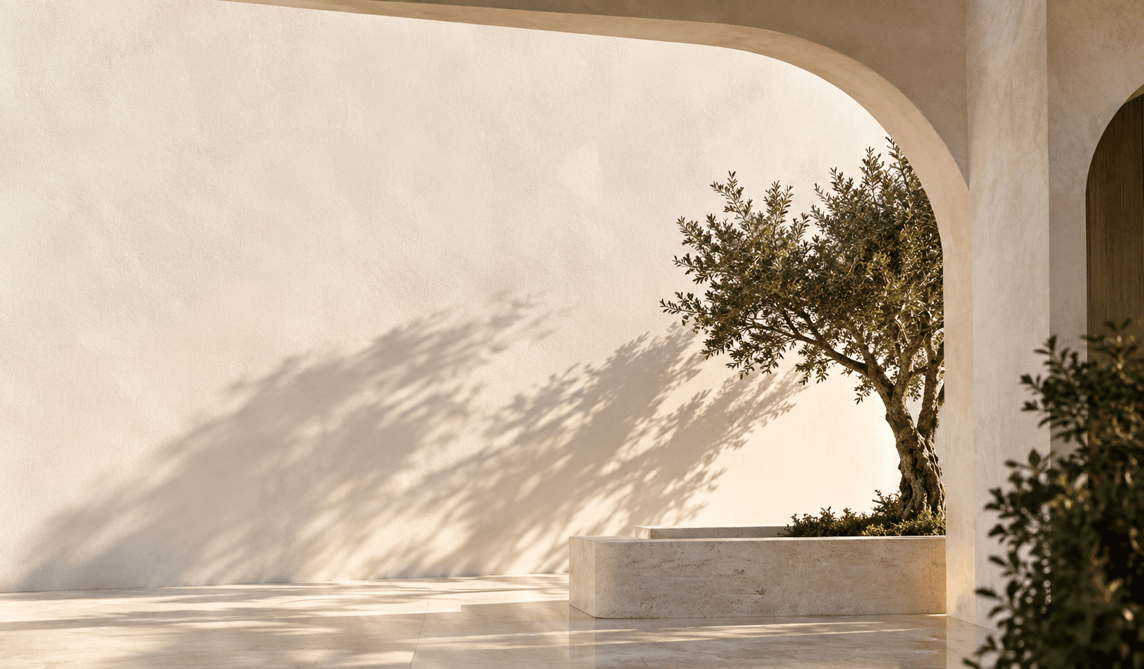 Minimalist stone courtyard with arched portal framing an olive tree and warm sunlit wall